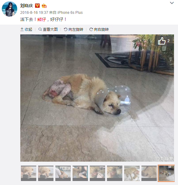 华体会